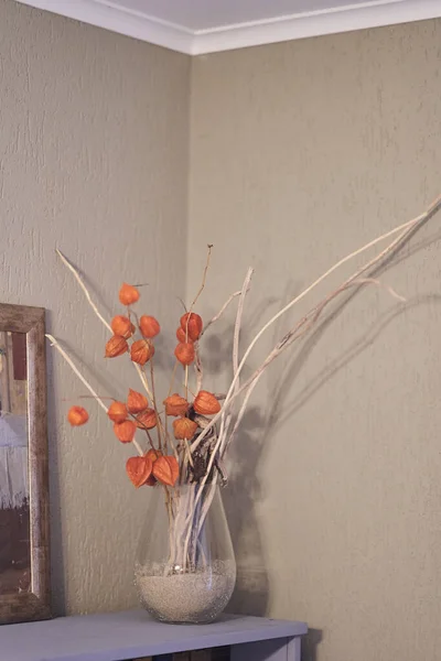 Vase with Physalis in the interior of the apartment — Stock Photo, Image