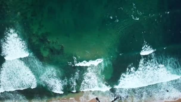 Aerial view. view of the waves in the Indian ocean. Wild Beach. Sri-lanka. — Stock Video