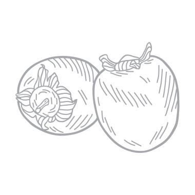 El çizimi hurma kümesi vektör illüstrasyonu.