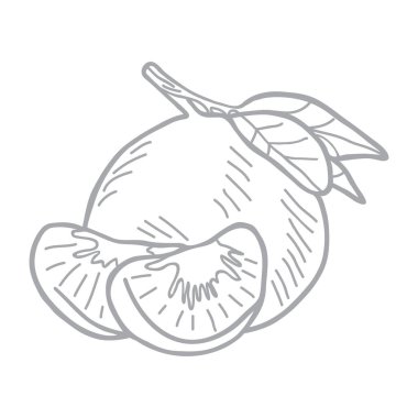 Dilimli el çizimi vektör çizimi.