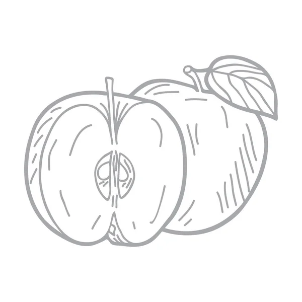 Dibujado Mano Vector Ilustración Conjunto Manzanas — Vector de stock