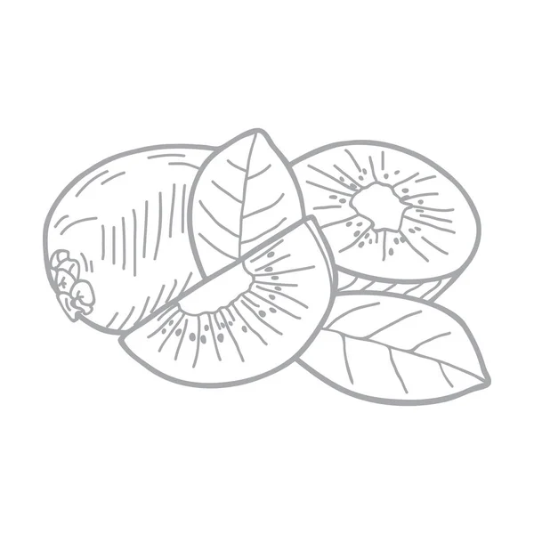 Hand Drawn Vector Illustration Set Kiwi — Stock Vector