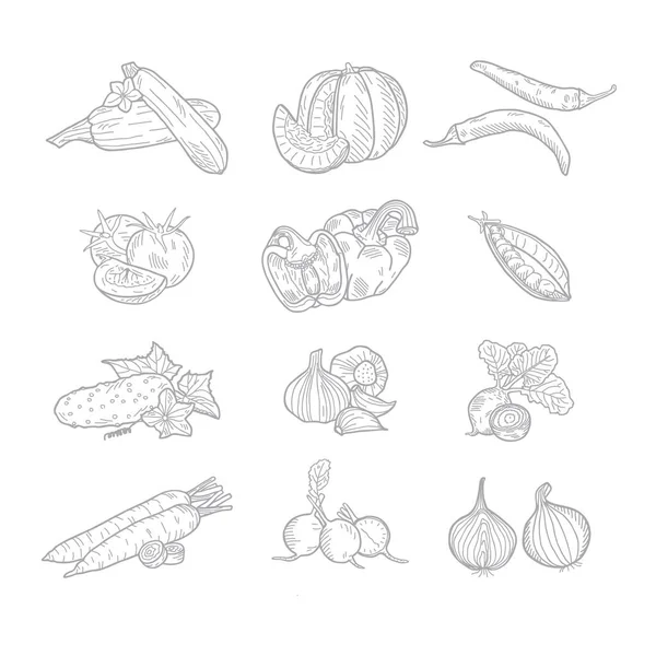 Illustration Vectorielle Dessinée Main Ensemble Légumes — Image vectorielle