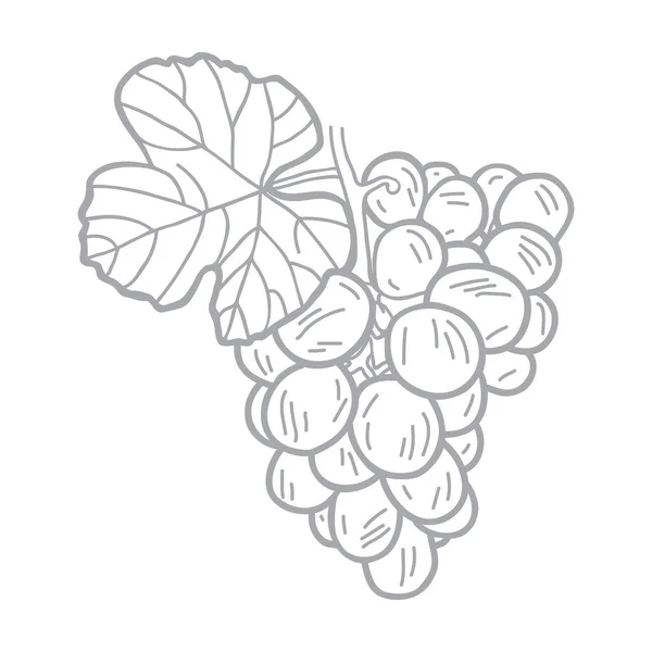 Contour Vector Illustration Pencil Style Grape Leaf — Stock Vector