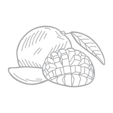 Yaprak ve dilimlerle çizilmiş mango çizimi.