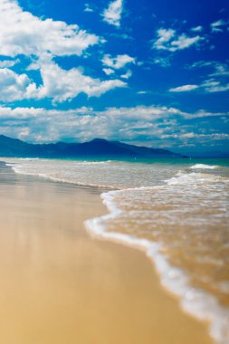 Kopya alanı olan boş deniz ve sahil arkaplanı