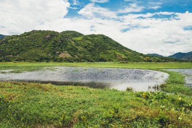 Tropikal iklimdeki dağlarda güzel yeşil pirinç tarlaları 