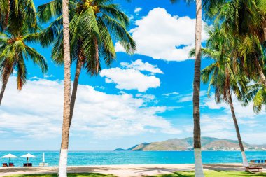 Sahilde palmiye. Deniz manzarası