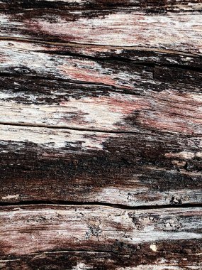 Kuru ahşap doku, çatlamış ahşap, ahşap zemin