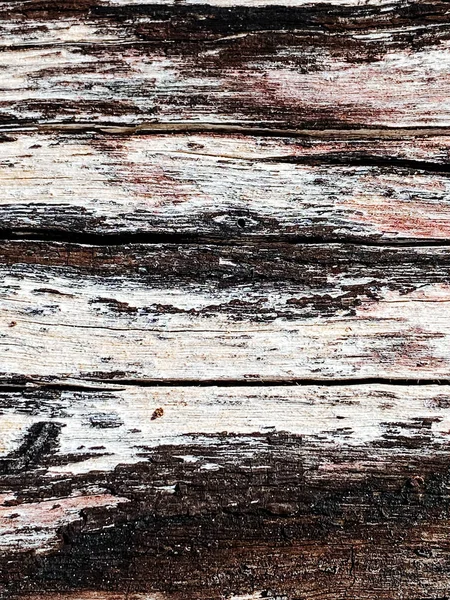 Kuru ahşap doku, çatlamış ahşap, ahşap zemin