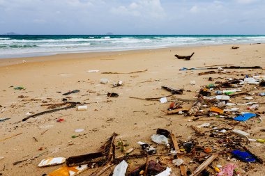 Okyanus kirliliği, plastik sorunu, okyanuslar