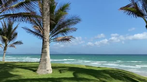 Kokospalmen Meerblick Grüner Rasen Sonniger Tag Weiße Wolken Blauen Himmel — Stockvideo