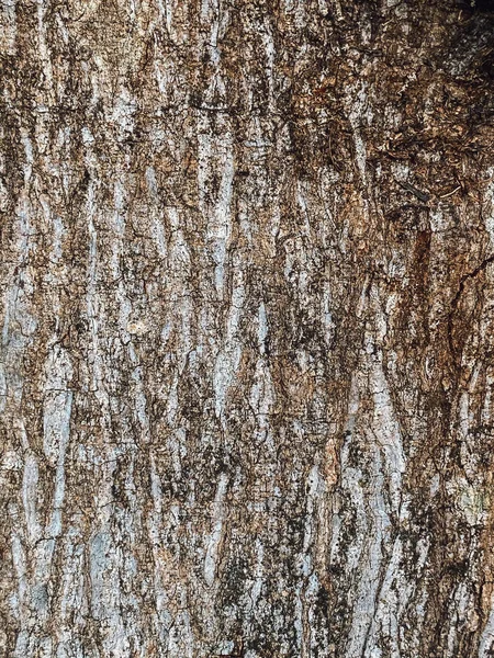 Doğal Ahşap Tahta Kesiği Yıllanmış Ahşap Zaman Havadan Çatlaklar Kahverengi — Stok fotoğraf