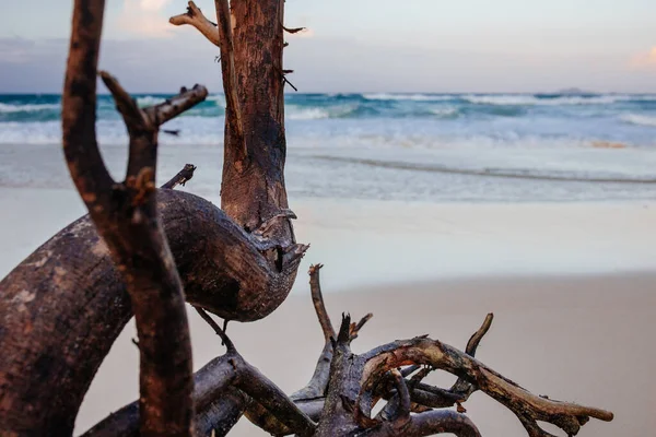 아름다운 배경을 해변의 아시아 — 스톡 사진