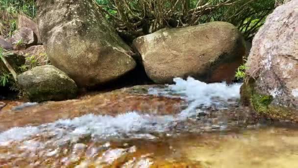 Un ruisseau de montagne coule à travers de grandes pierres, mousse de l'écoulement de l'eau. Eau claire et transparente . — Video