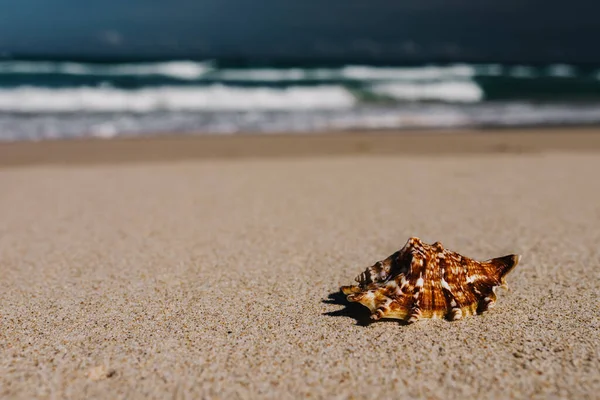 해변에 모래와 텍스트를 — 스톡 사진