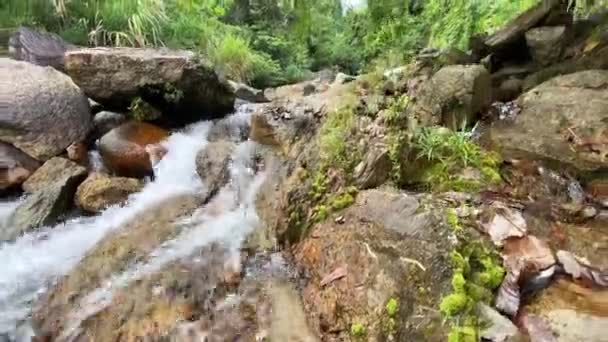 Горный поток протекает через большие камни, пену из потока воды. Прозрачная вода . — стоковое видео