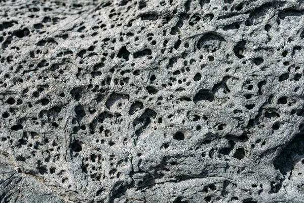石头质地 多孔石头 海石质感 — 图库照片