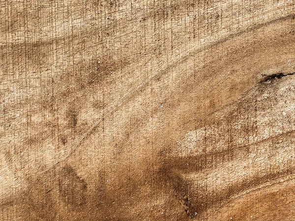 Natural wood, wood cut, aged wood, cracks from time and weather. Brown background, wood texture. Place for printing.