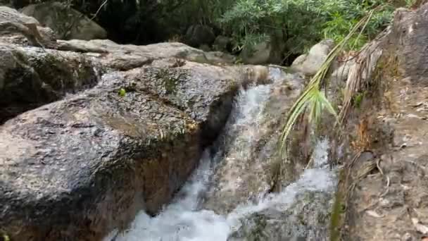 Ένα ρυάκι του βουνού ρέει μέσα από μεγάλες πέτρες, αφρός από τη ροή του νερού — Αρχείο Βίντεο