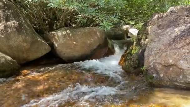 En fjällbäck rinner genom stora stenar, skum från vattenflödet — Stockvideo