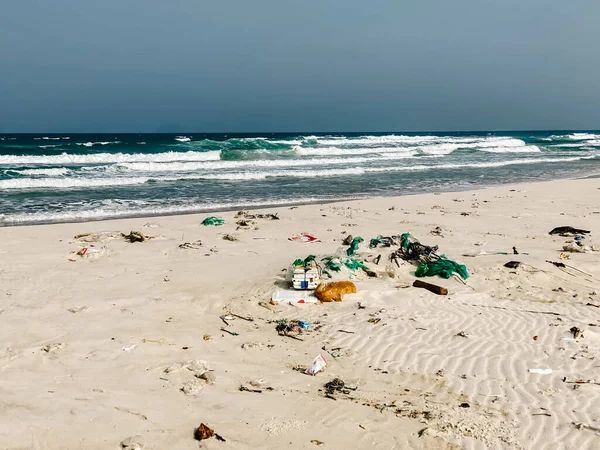 Plastik şişeler ve kumlu deniz kıyısına atılan diğer çöpler, deniz sahilindeki çöpler. Ekolojik bir sorun. Çevre kirliliği. Kirli kumsal.