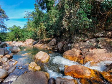 Küçük bir dağ nehri orman boyunca dağlık bölgelerdeki büyük taşların arasından akar. Doğal manzara, temiz bir nehir, güzel bir manzara, temiz hava. Ekolojik olarak temiz alan.