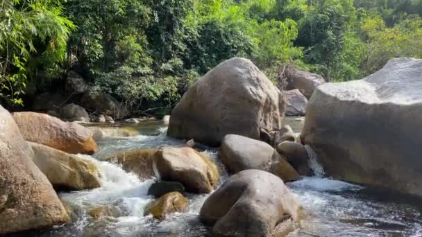 Un ruisseau de montagne coule à travers de grandes pierres, mousse du flux de l'eau.jungle — Video