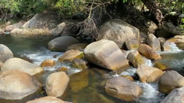 Bergstroom stroomt door grote stenen, schuim uit de stroom van water.jungle — Stockvideo