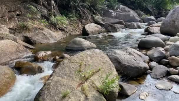 Um córrego da montanha flui através das pedras grandes, espuma do fluxo de water.jungle — Vídeo de Stock