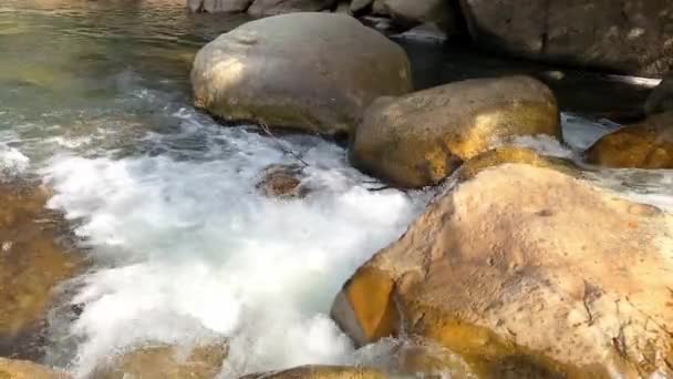 Egy vízesés egy folyó mellett. hegyi patak folyik keresztül nagy kövek, hab az áramlás a víz — Stock videók