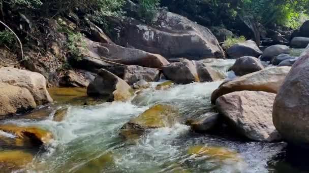 Ruisseau de montagne coule à travers de grandes pierres, mousse de l'écoulement de l'eau, cascade — Video