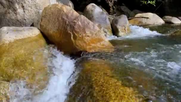 Torrente di montagna scorre attraverso grandi pietre, schiuma dal flusso di acqua. Una cascata — Video Stock