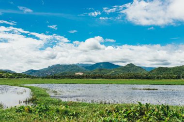 Kırsal alan, pirinç tarlaları, güzel dağlar, nehirler ve bir çiftlik köyü manzarası. Beyaz bulutlu mavi gökyüzü. Harika Asya manzarası