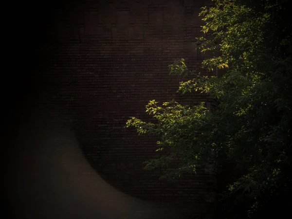 Krásný Výhled Starobylou Cihlovou Zeď Retro Retro Stylu Letní Odpoledne — Stock fotografie