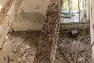 Yıkım alanı, yapı, evin içi, ahşap ve taştan yapılmış çöp ve çöplerin güzel manzarası..