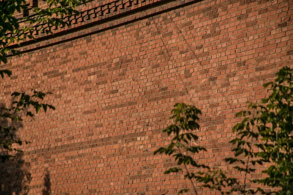 レトロでヴィンテージスタイルのヴィンテージレンガの壁の美しい景色 夏の午後 — ストック写真