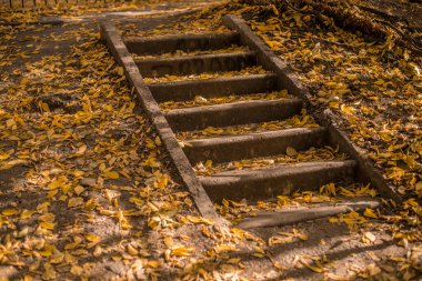 Kalıplaşmış eski merdiven manzarası ılık renklerde..
