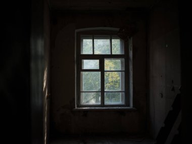 Yıkım alanı, yapı, evin içi, ahşap ve taştan yapılmış çöp ve çöplerin güzel manzarası..