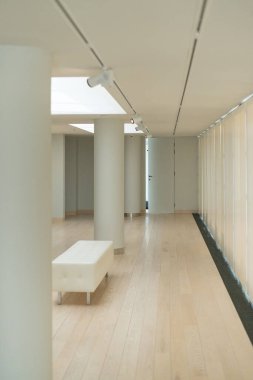 Sütunları olan güzel ve parlak kamu minimalist modern iç mimarisi.