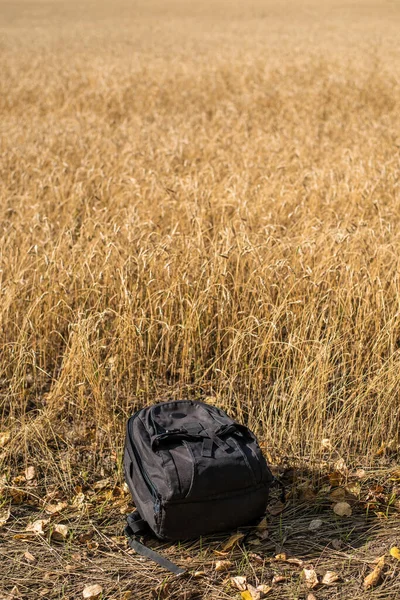 Uma Bela Vista Mochila Viajante Viajante Deitado Campo Trigo Centeio — Fotografia de Stock