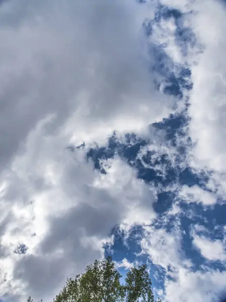 Langit Biru Yang Indah Dengan Awan Putih Dan Puncak Pohon — Stok Foto