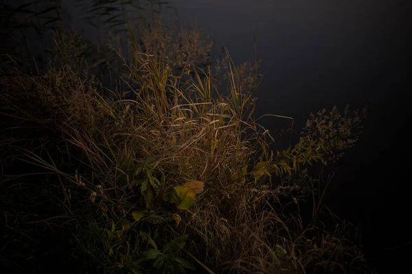 Hermosa Vista Paisaje Naturaleza Oscura Estanque Lago Por Noche Por — Foto de Stock