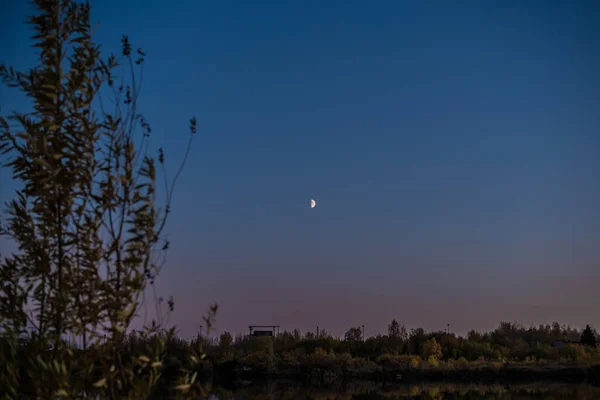 Schöne Aussicht Und Landschaft Mit Dunkler Natur Wald Und Himmel — Stockfoto