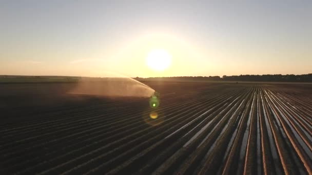 Champ Plantation Laitue Lever Soleil Coucher Soleil Plein Air Crues — Video