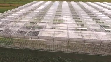 Marul hidroponiği için parlak, modern cam sera ısıtıcısı, ekin yetiştirme. Kırsal alan, güneşli gün, hava görüntüleri.