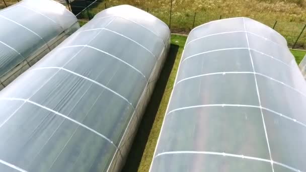 Simple Plastic Membrane Greenhouses Warmhouses Sunny Day Aerial Footage — Stock Video