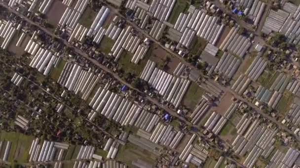 Dorf Große Gruppe Von Gewächshäusern Gewächshäusern Wärmehäusern Plantagen Sommer Luftaufnahmen — Stockvideo