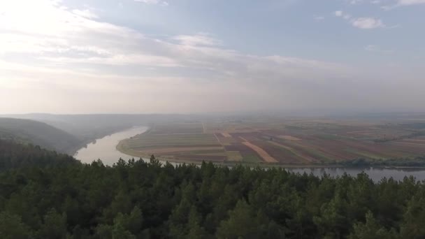 Mezőgazdasági Területek Ültetvénygazdaság Szigeten Folyó Mellett Ukrajnában Légi Felvétel Reggel — Stock videók