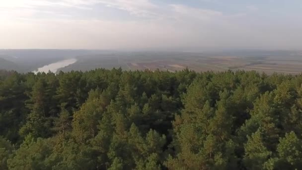 Champs Agricoles Plantation Ferme Sur Île Bord Rivière Ukraine Images — Video